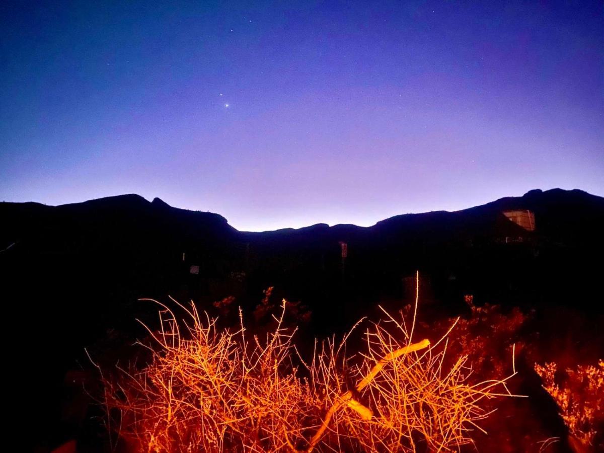 Camping At Desert Gardens Oasis In Lobo, Tx Ван-Хорн Экстерьер фото